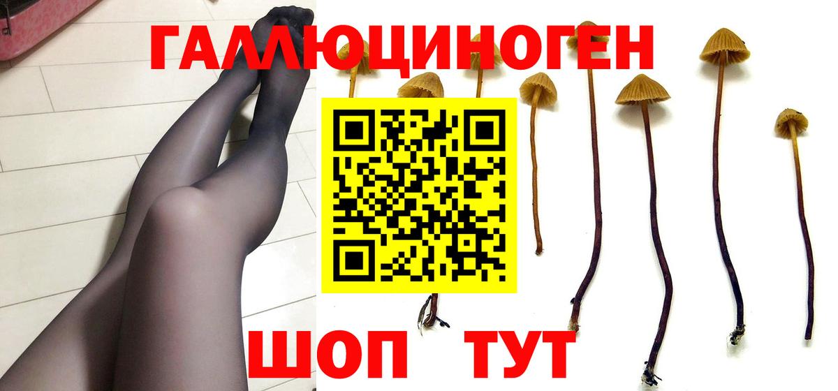 Псилоцибиновые грибы Cubensis  наркота  Краснознаменск  Вход с VPN 