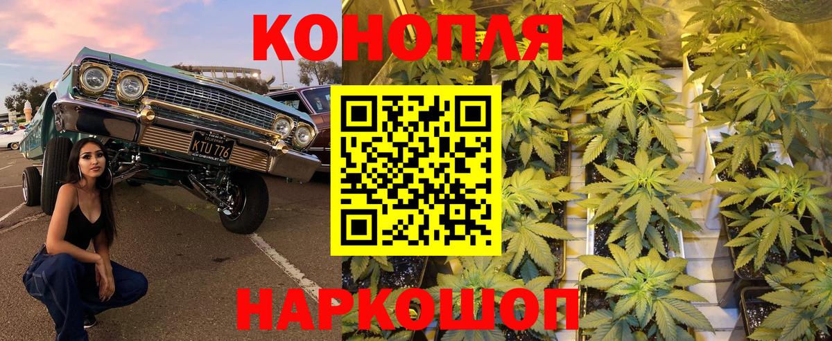 Шишки марихуана SATIVA & INDICA Краснознаменск